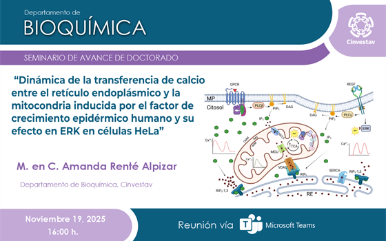 M. en C. Amanda Renté Alpizar