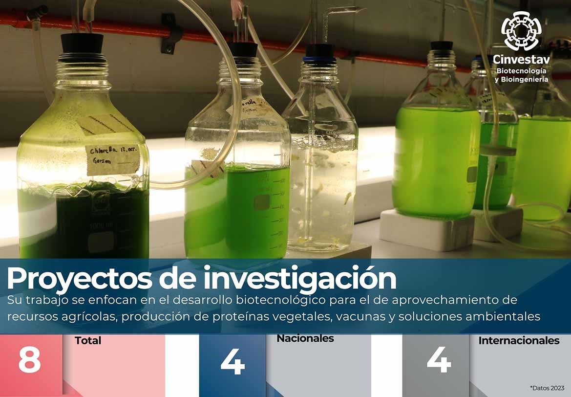 Inicadores-Proyectos de investigacíon