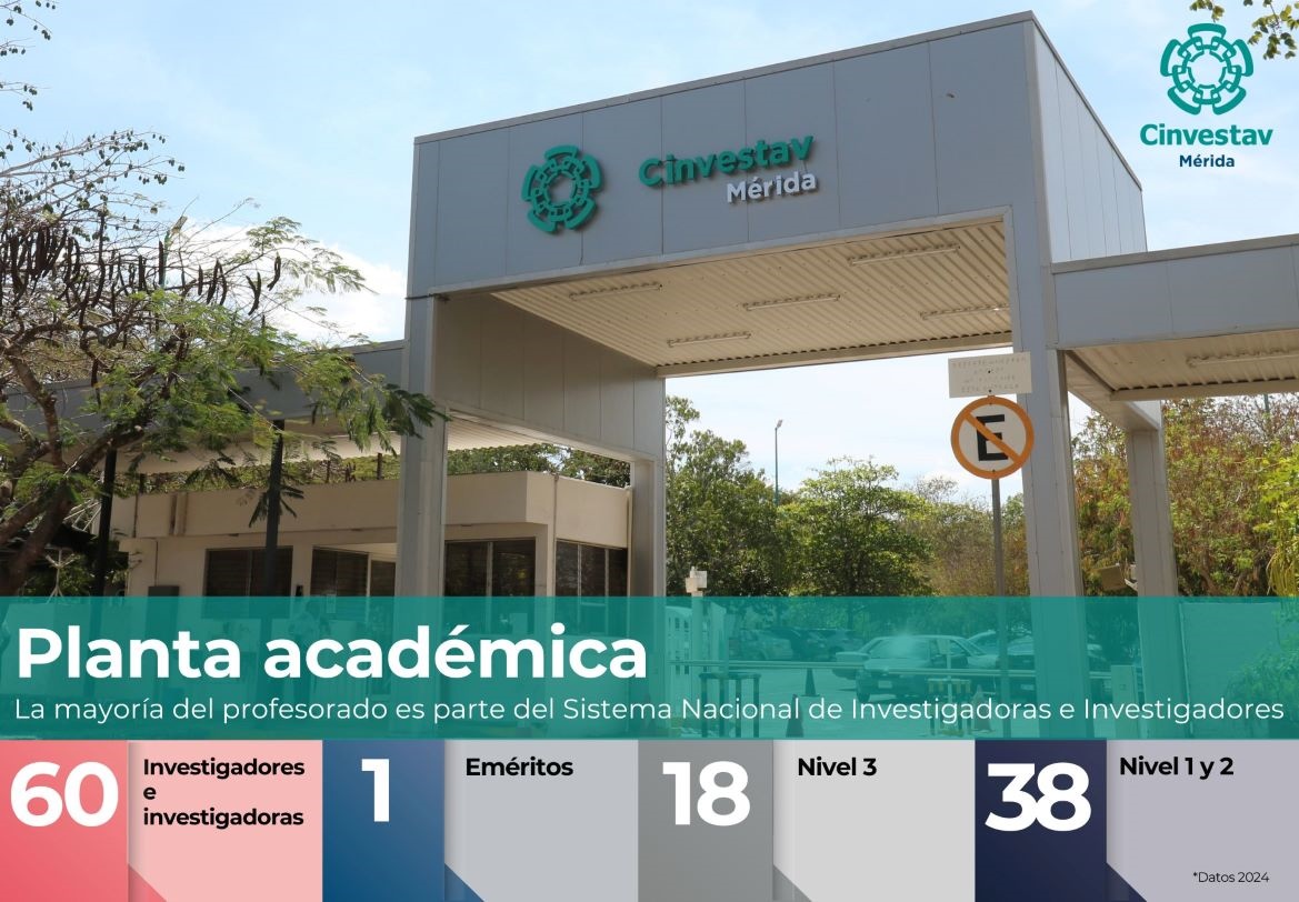 Indicadores-Planta academica