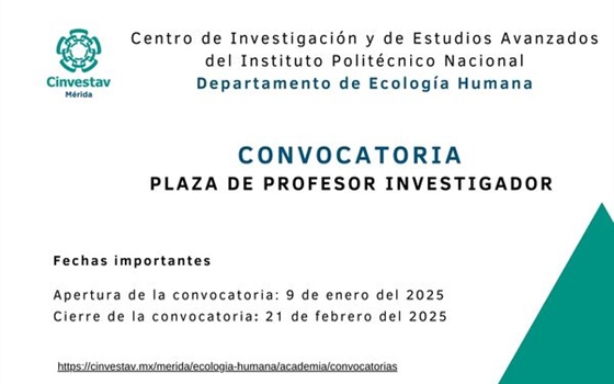 Convocatoria Plaza de Profesor Investigador