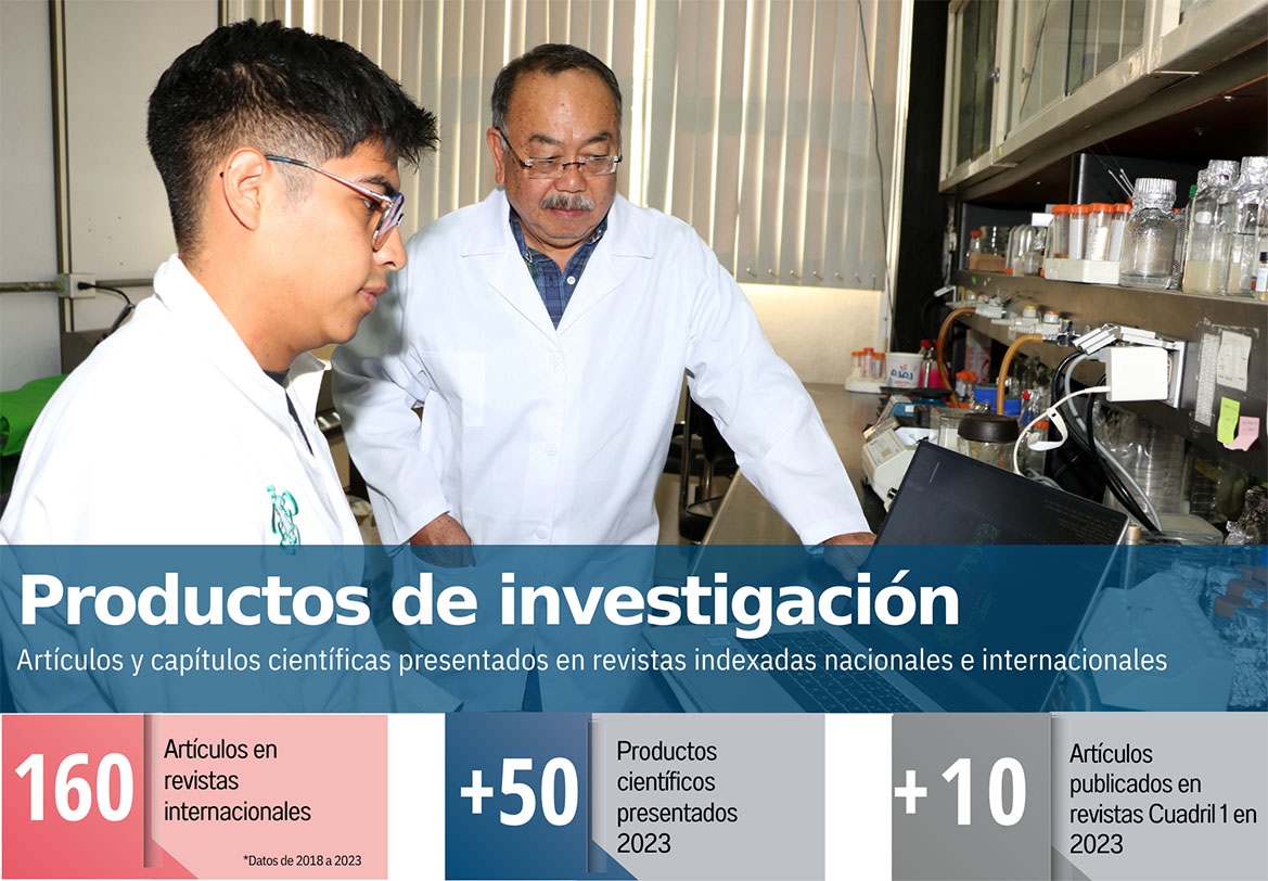 Indicadores - Productos de investigacion