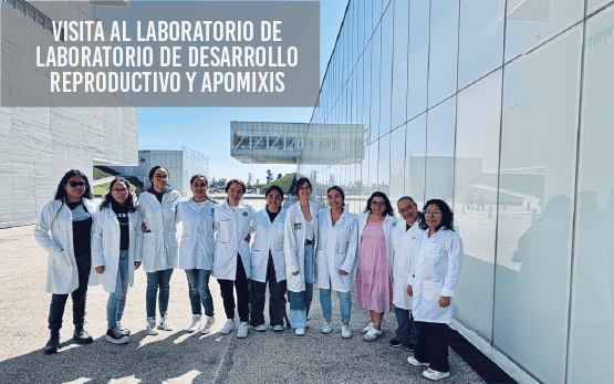 Visita al Laboratorio de Desarrollo Reproductivo y Apomixis