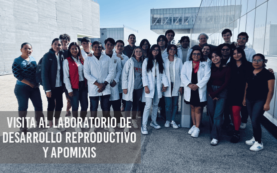 Visita al Laboratorio de Desarrollo Reproductivo y Apomixis