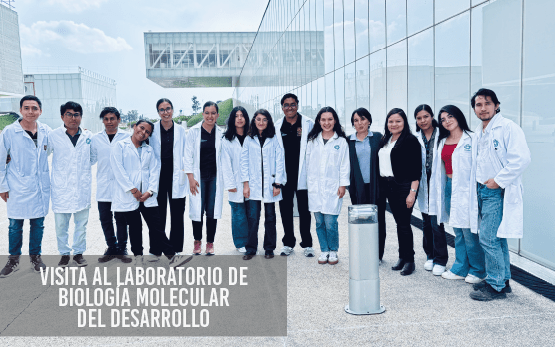 Visita al Laboratorio de Biología Molecular del Desarrollo