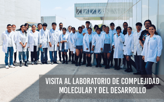 Visita al Laboratorio de Complejidad Molecular y del Desarrollo