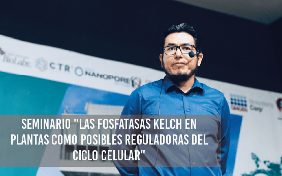 Seminario: 