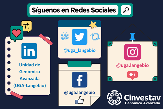 Síguenos en Redes Sociales