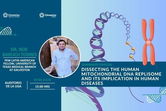 Dissecting the human mitochondrial DNA replisome and its implication in human diseases