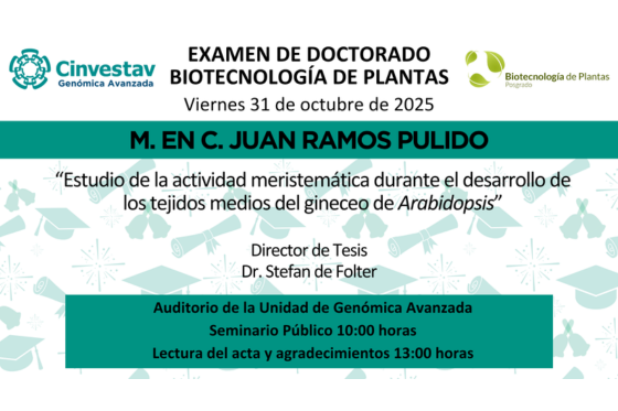 Examen de doctorado de M.C. Pablo López Gómez