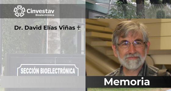 David Elías Viñas †