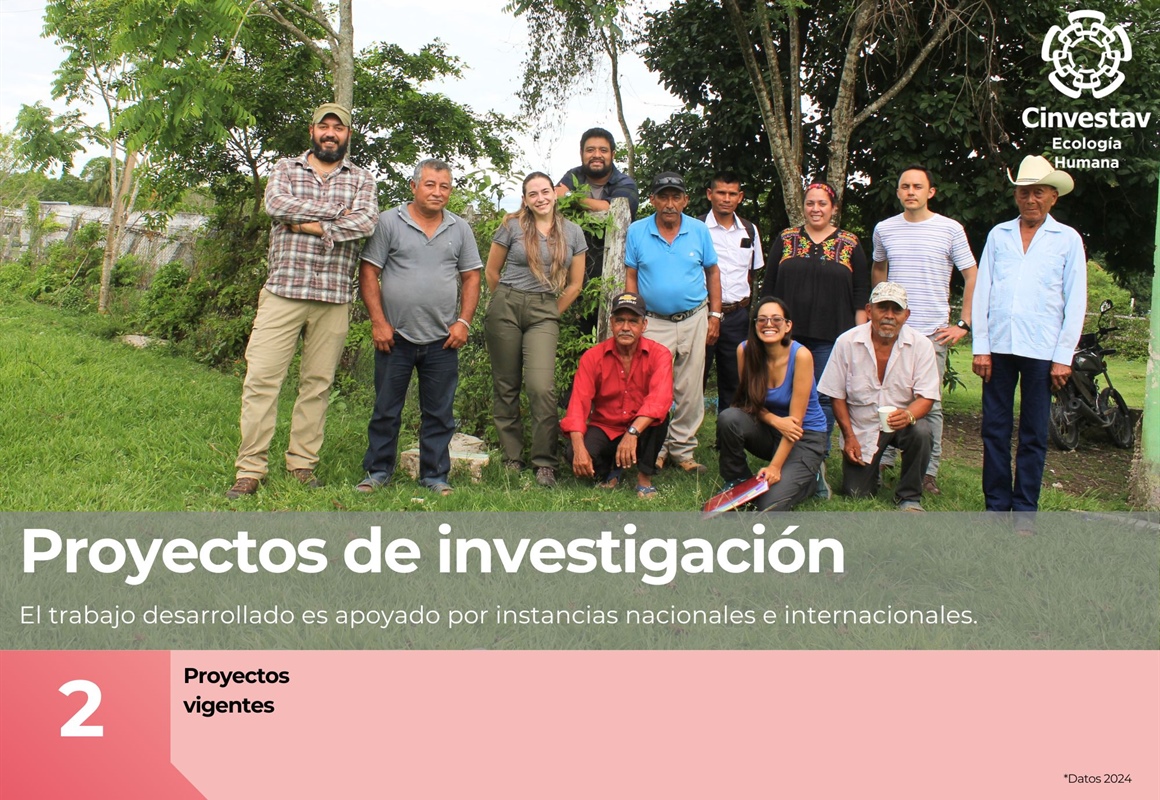 Indicadores-Proyectos de Investigacion