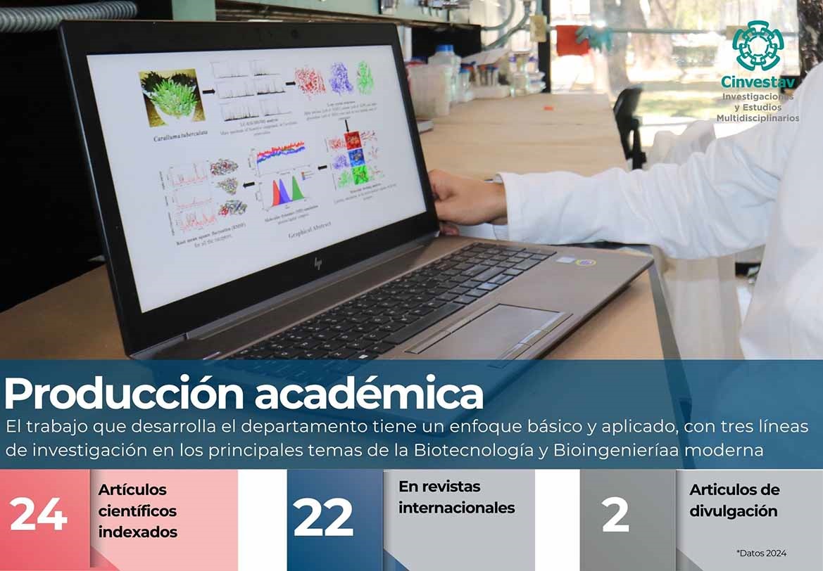 Indicadores-Producción Académica