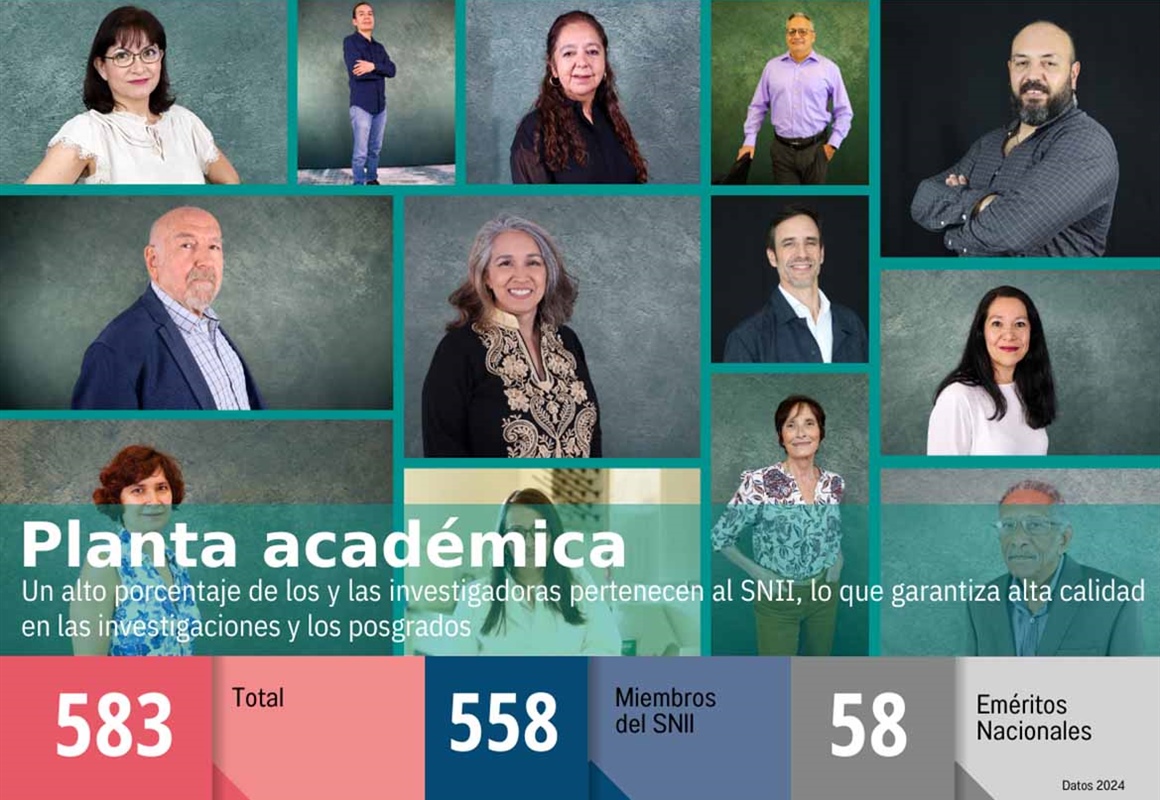 Indicadores-Planta academica