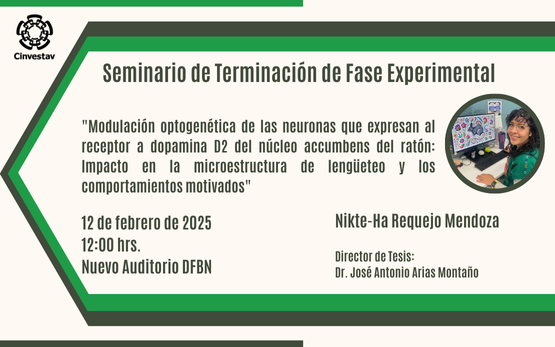 Seminario de Terminación de Fase Experimental