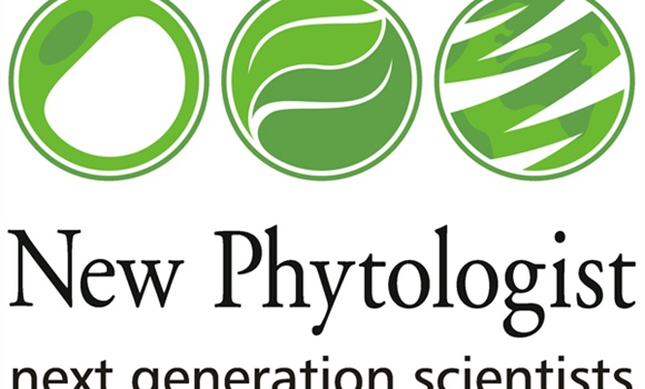 New Phytologist next generation scientists 2025