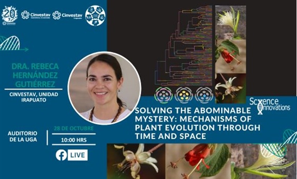 Seminario: 