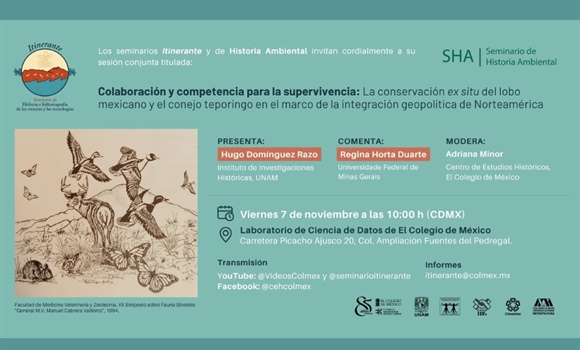 Itinerante. Colaboración y competencia para la supervivencia