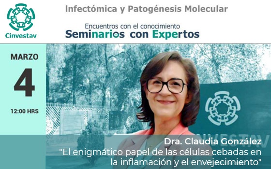 El enigmático papel de las células cebadas en la inflamación y el envejecimiento