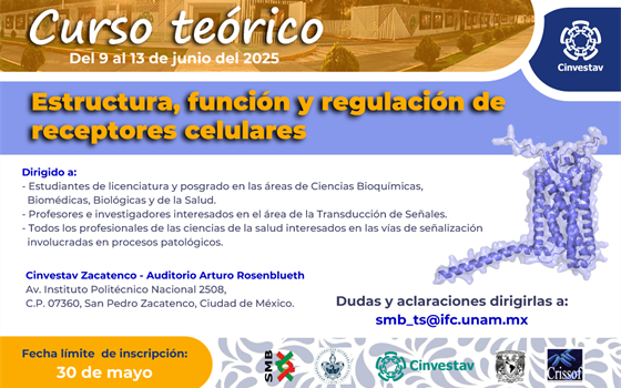 Curso Teórico