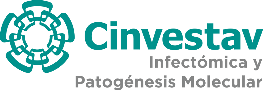 Logo Cinvestav