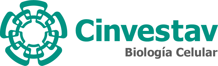 Logo Cinvestav