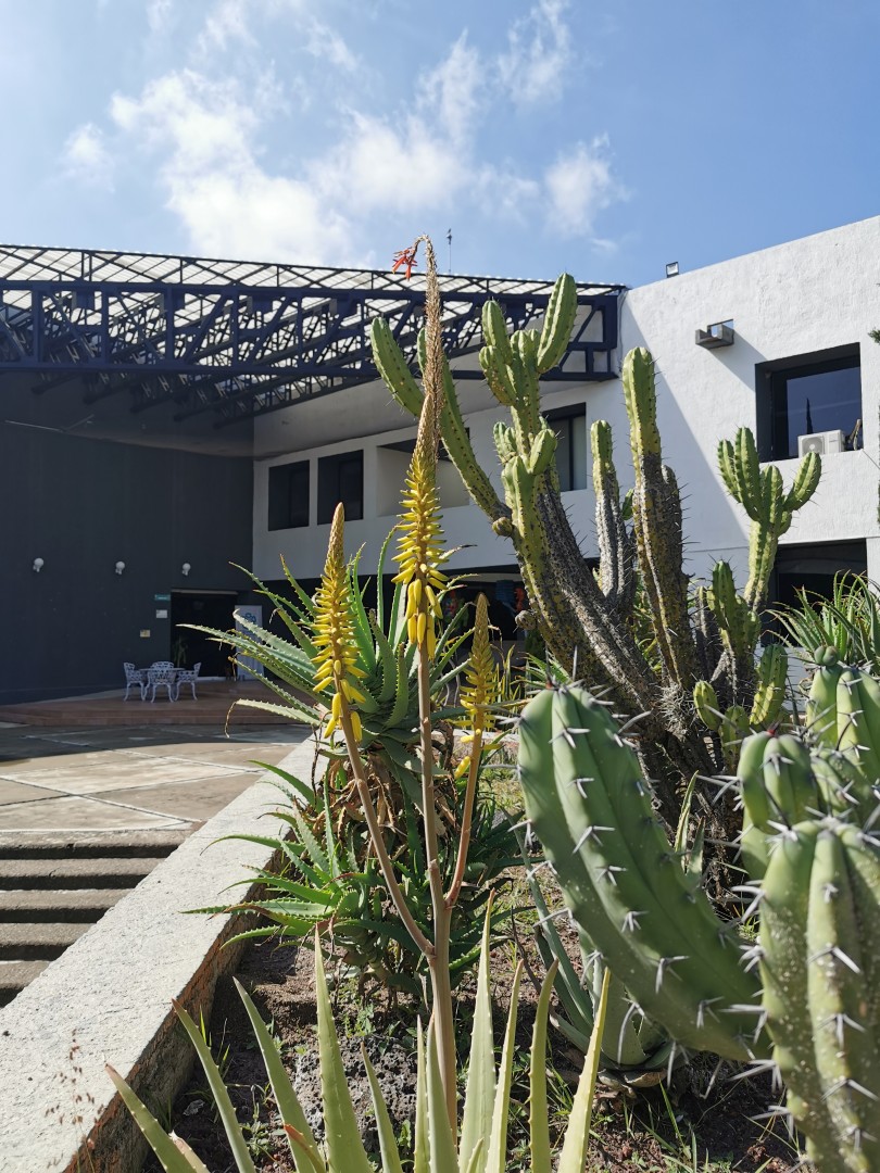 Edificio de Investigación Unidad Querétaro