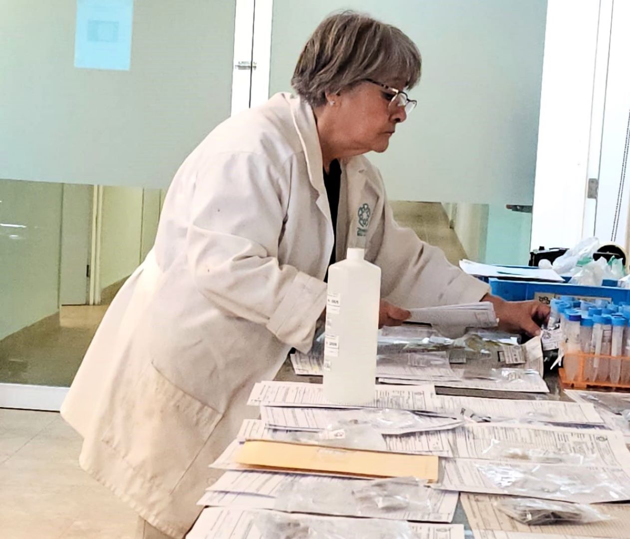 Recibiendo muestras para su análisis en laboratorio químico